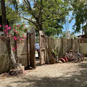 Selva - Free Bike Bacalar