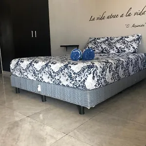 https://mayan-caribe-apart-hotel.tulum-hotels.net